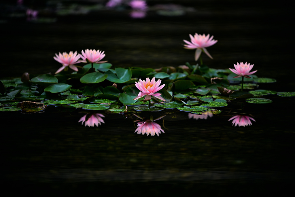 Magic mirror on the water