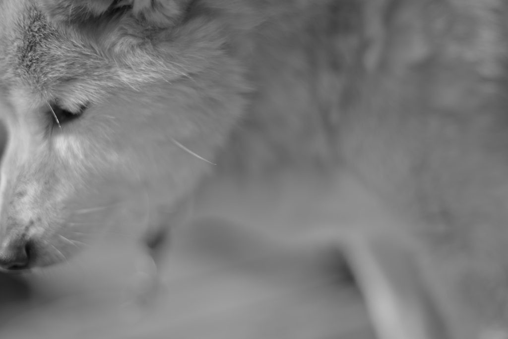 どこへ行くの？