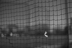 絡まる秋の記憶