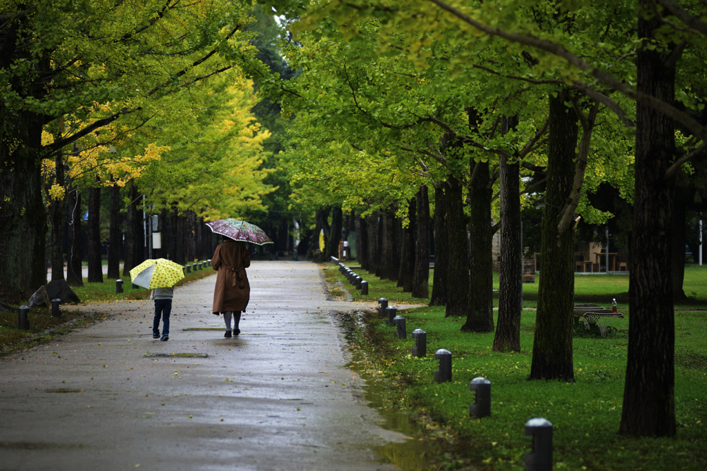 雨のお出かけ