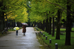 雨のお出かけ