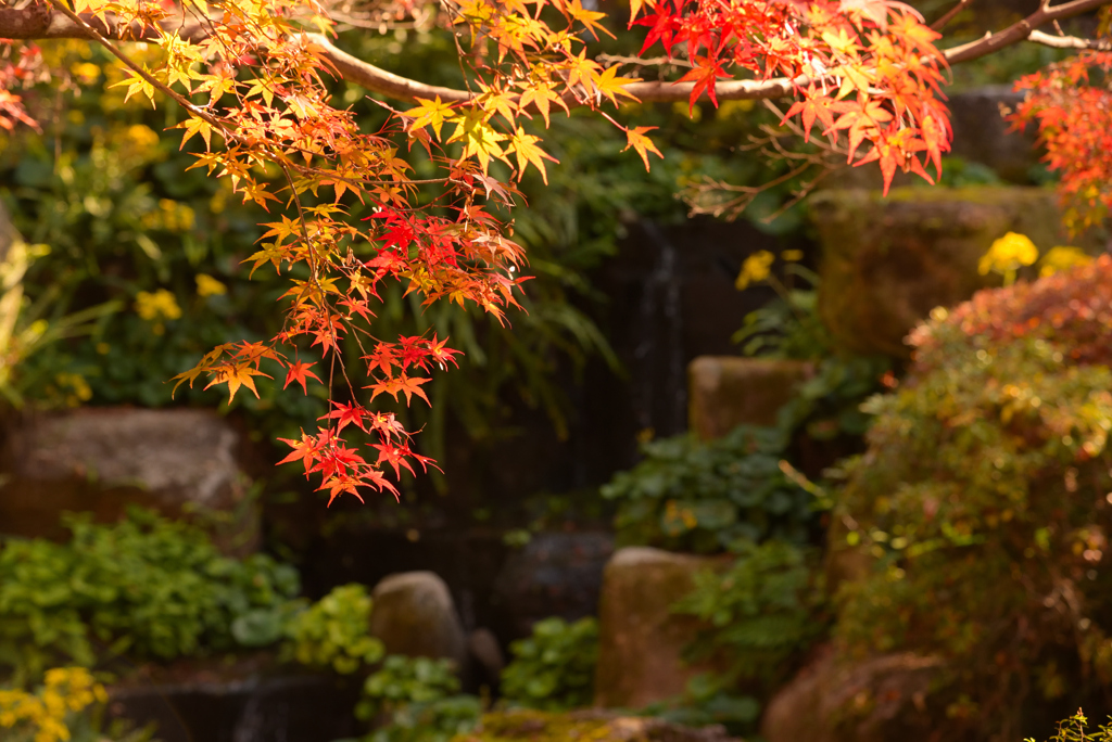 岐阜公園