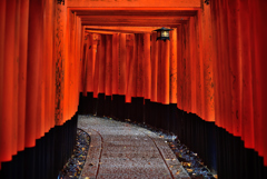 雨の千本鳥居