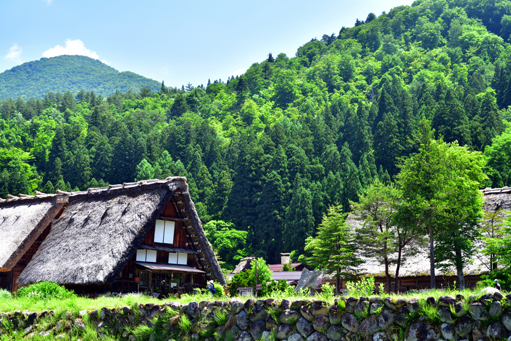 風景