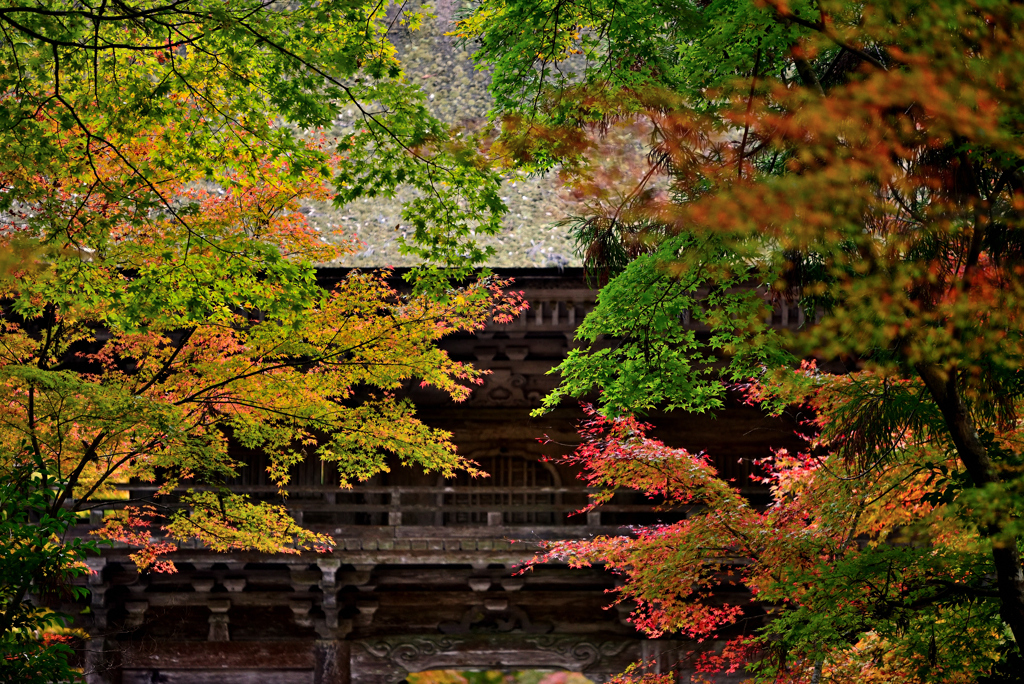 美濃 大矢田神社