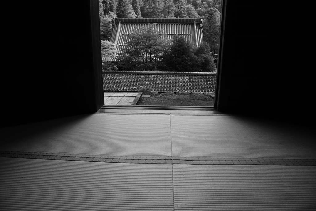 禅
