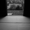 禅