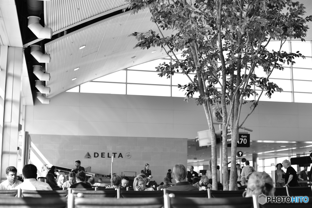 Airport