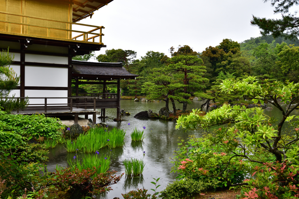 鹿苑寺