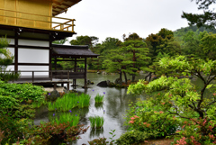 鹿苑寺