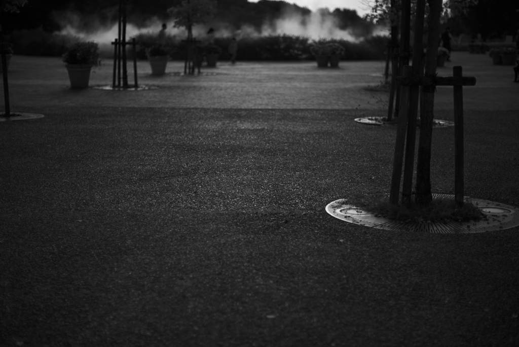 公園