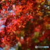 紅に染まる