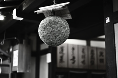 杉玉