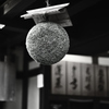 杉玉