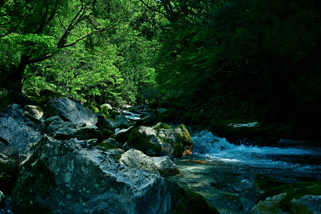 静寂の緑水