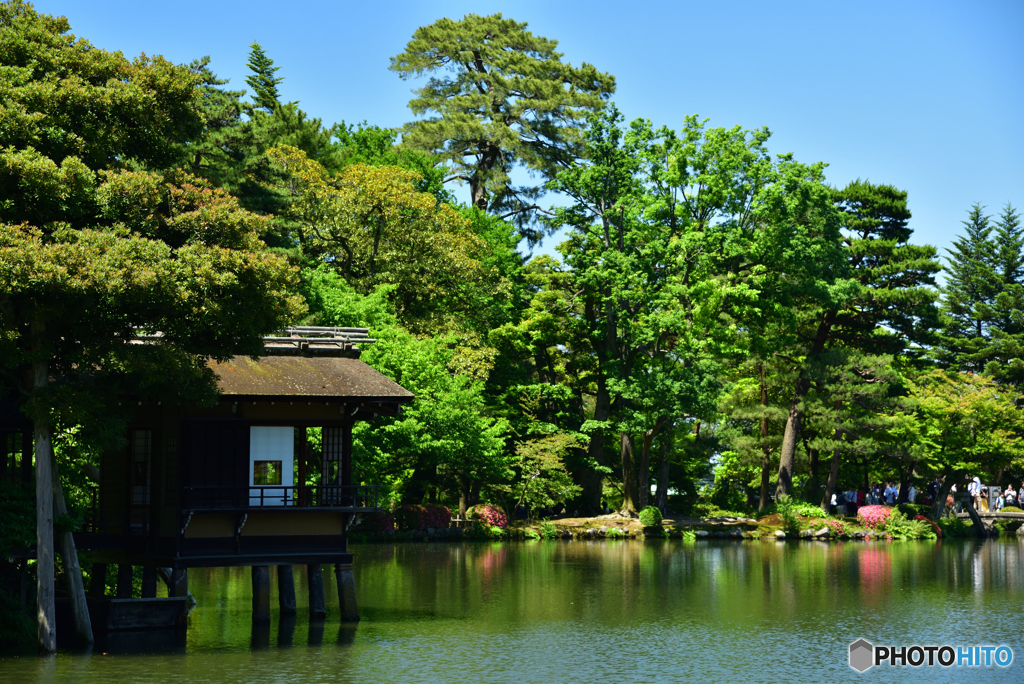 兼六園 霞ヶ池 内橋亭