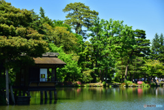 兼六園 霞ヶ池 内橋亭