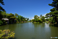 兼六園 霞ヶ池