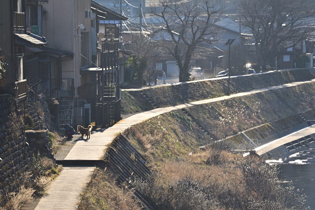 ひかり あふれる