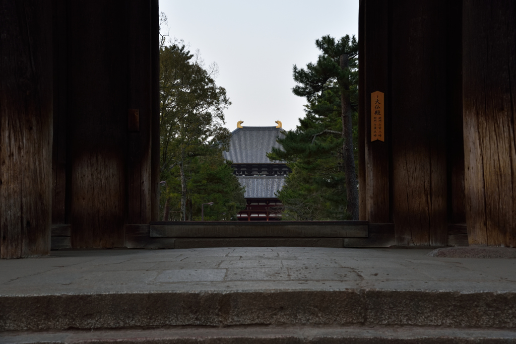 奈良公園散策２