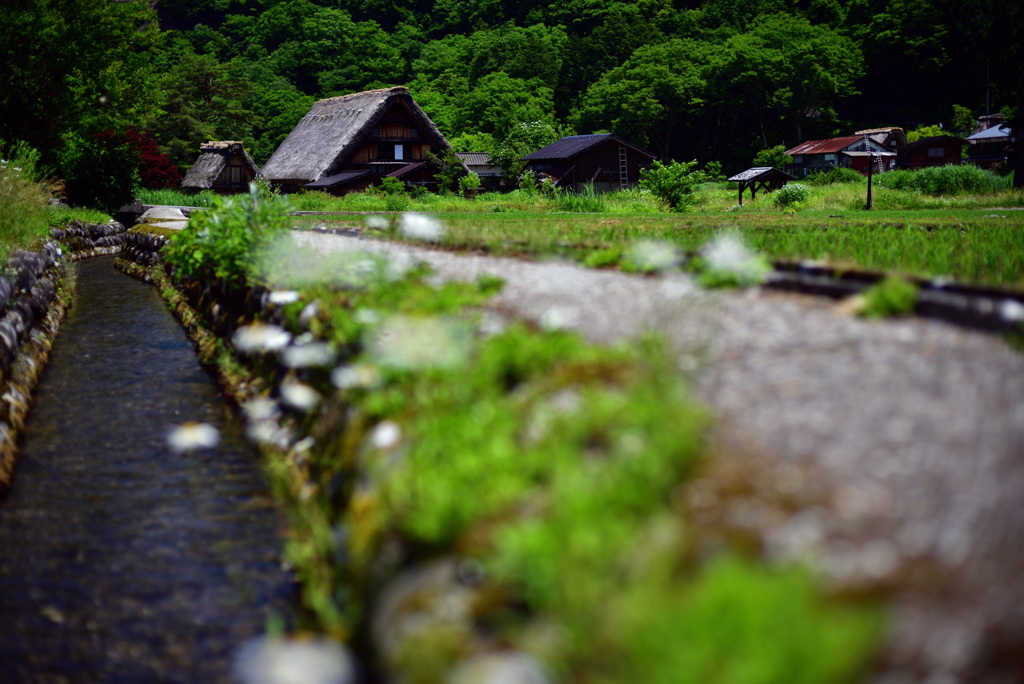 神田家