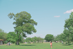 GWの公園