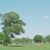 GWの公園