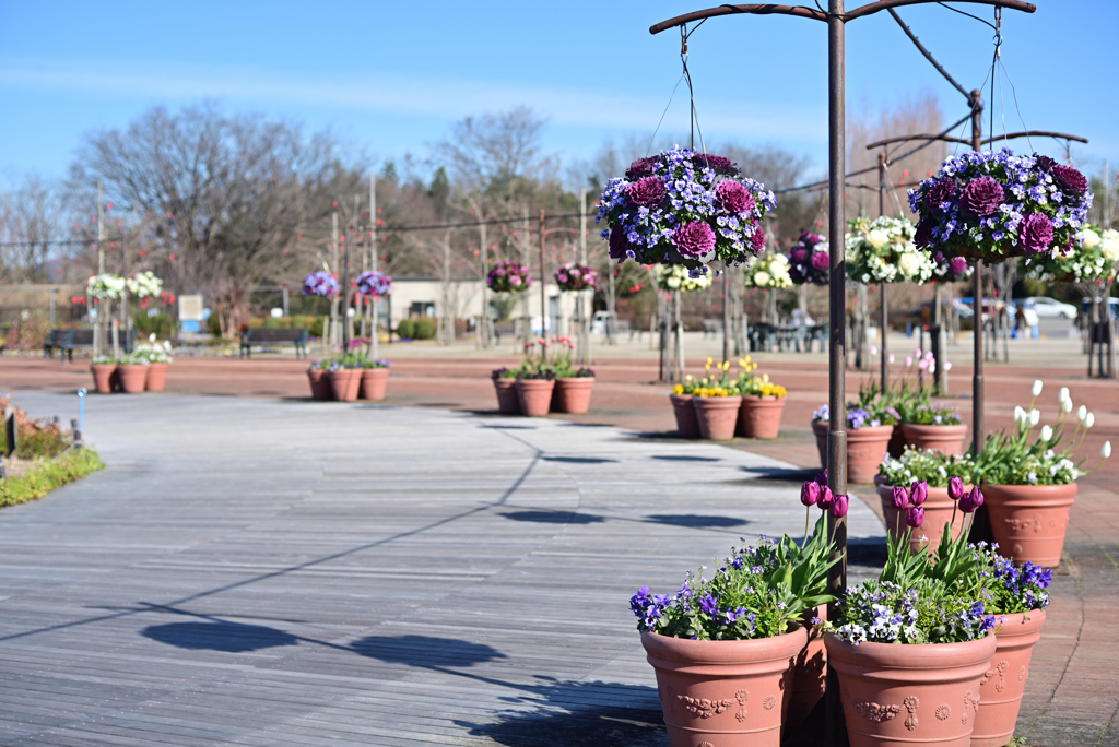 Flower Park