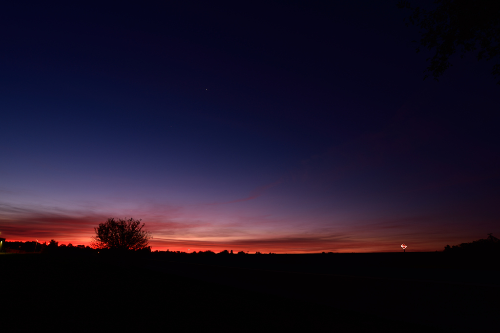 morning glow 1