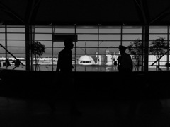 flight