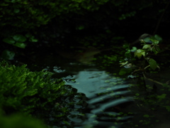 雨の音