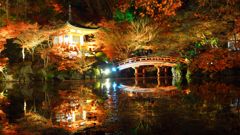 紅葉舞う夜