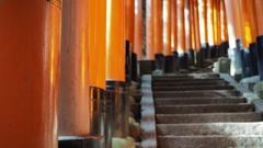 千本鳥居2