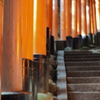 千本鳥居2