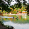 色めく山と川の中で・・・