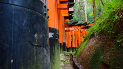 千本鳥居