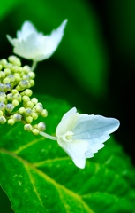 8C773A79-1DDC-446E-B627-69BD8FC594CE