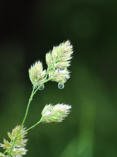 811885B1-504E-4B82-848B-8B7478CCFAD0