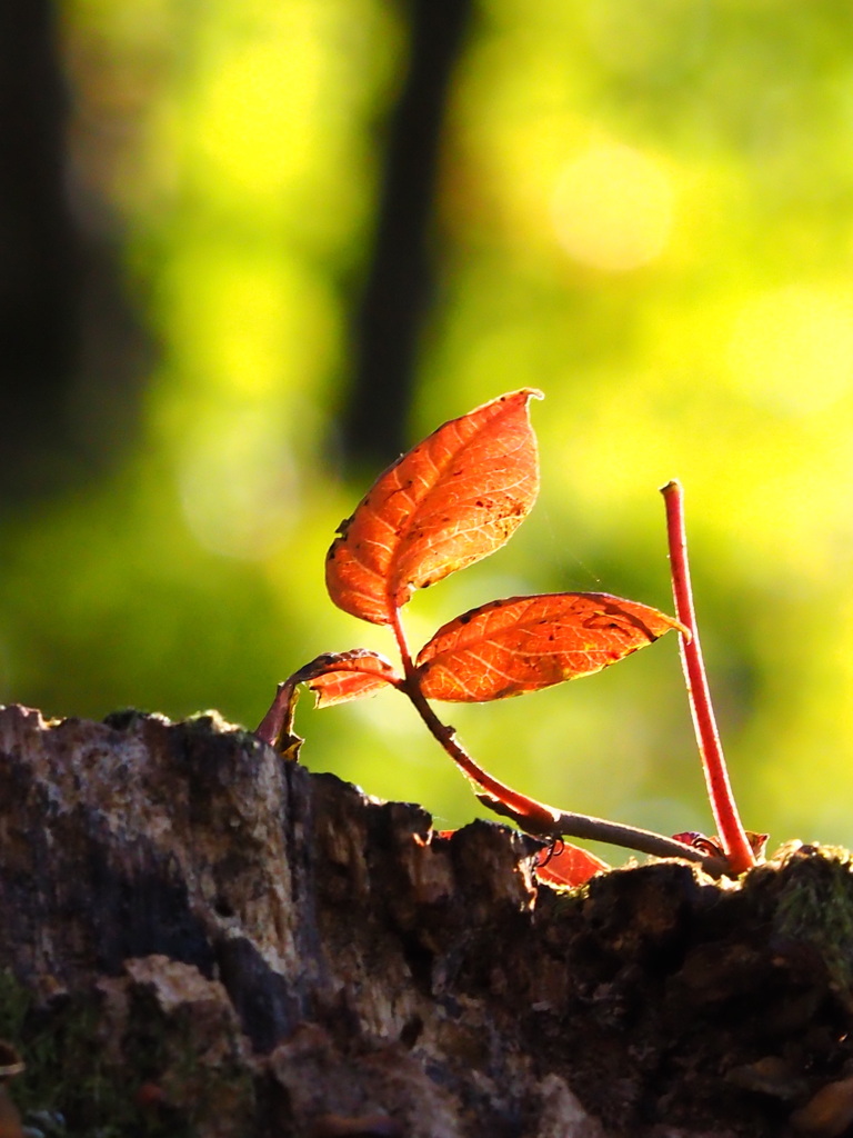 4B17A4E7-876A-4DC9-9C6E-CE78DD54BA13