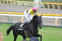 東京競馬場