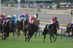 東京競馬場