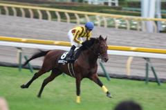 東京競馬場
