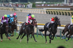 東京競馬場