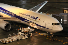 夜の羽田空港国際ターミナル