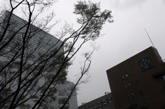 曇り空