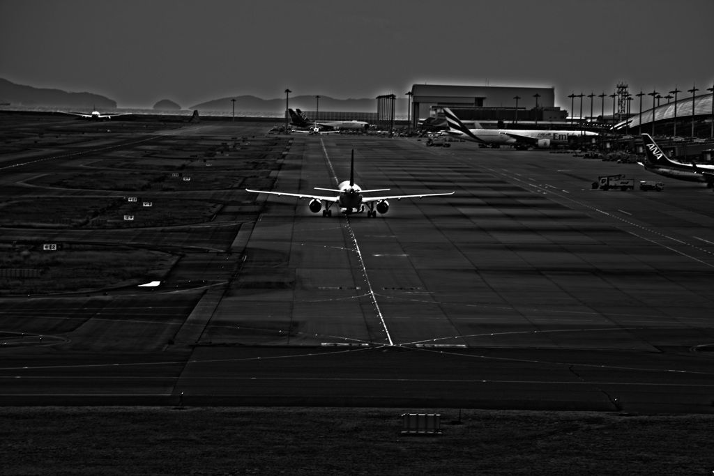 飛行機