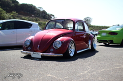 DPP_0232