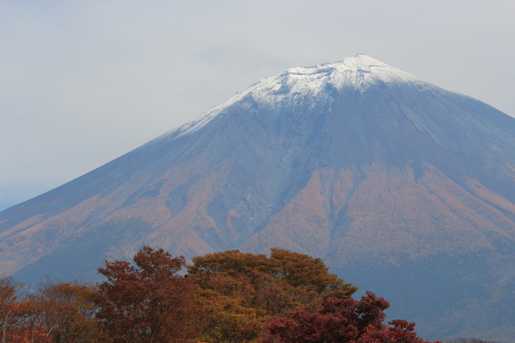 頂