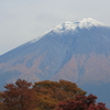 頂