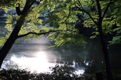 夏の終わり